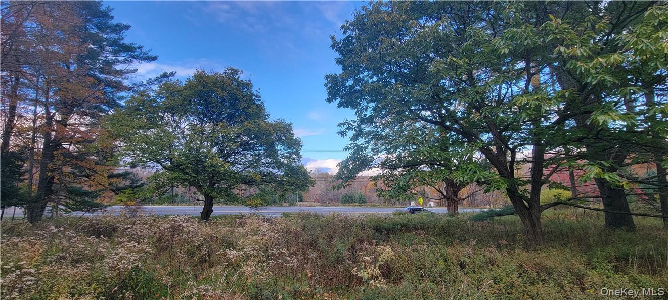 1195 Nys Route 17b Property Photo 6