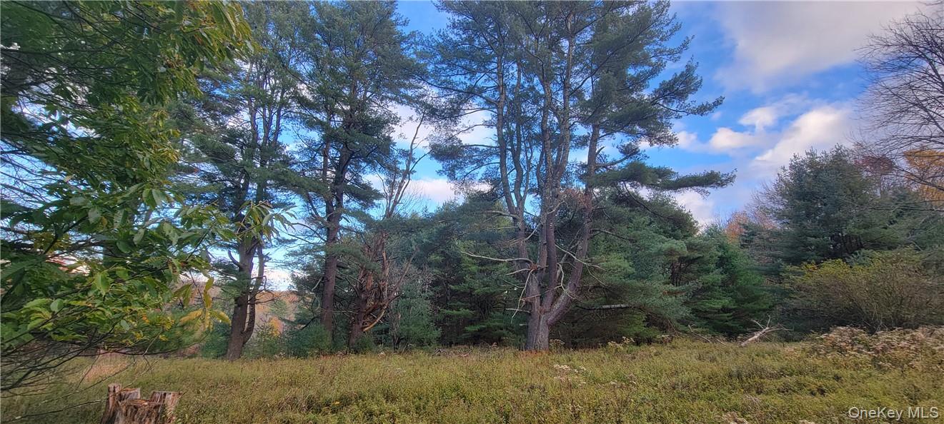 1195 Nys Route 17b Property Photo 7