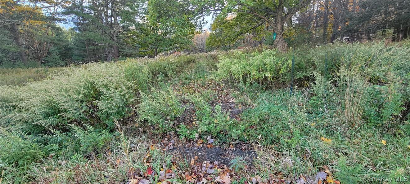 1195 Nys Route 17b Property Photo 8