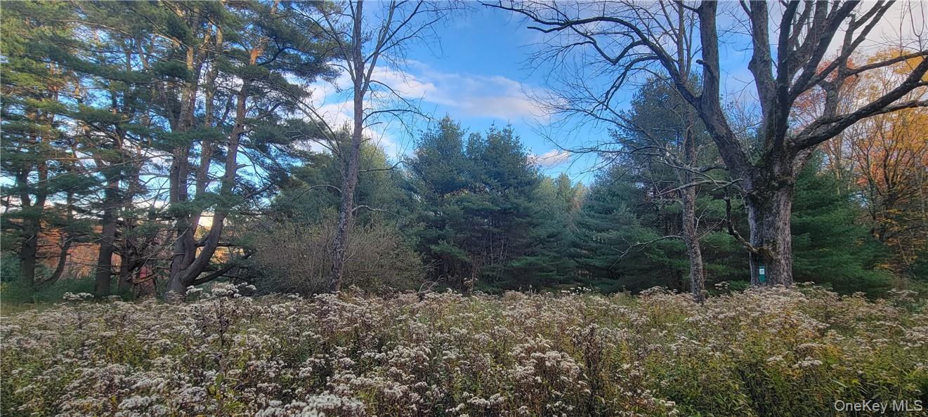 1195 Nys Route 17b Property Photo 9