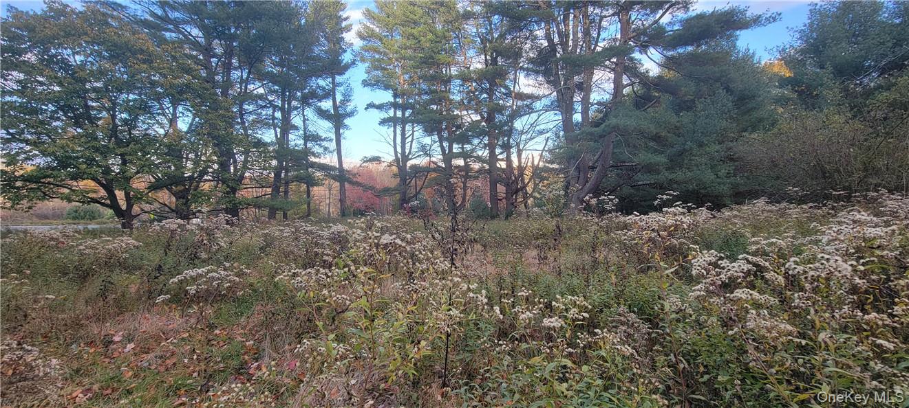 1195 Nys Route 17b Property Photo 10