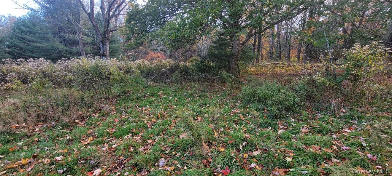 1195 Nys Route 17b Property Photo 11