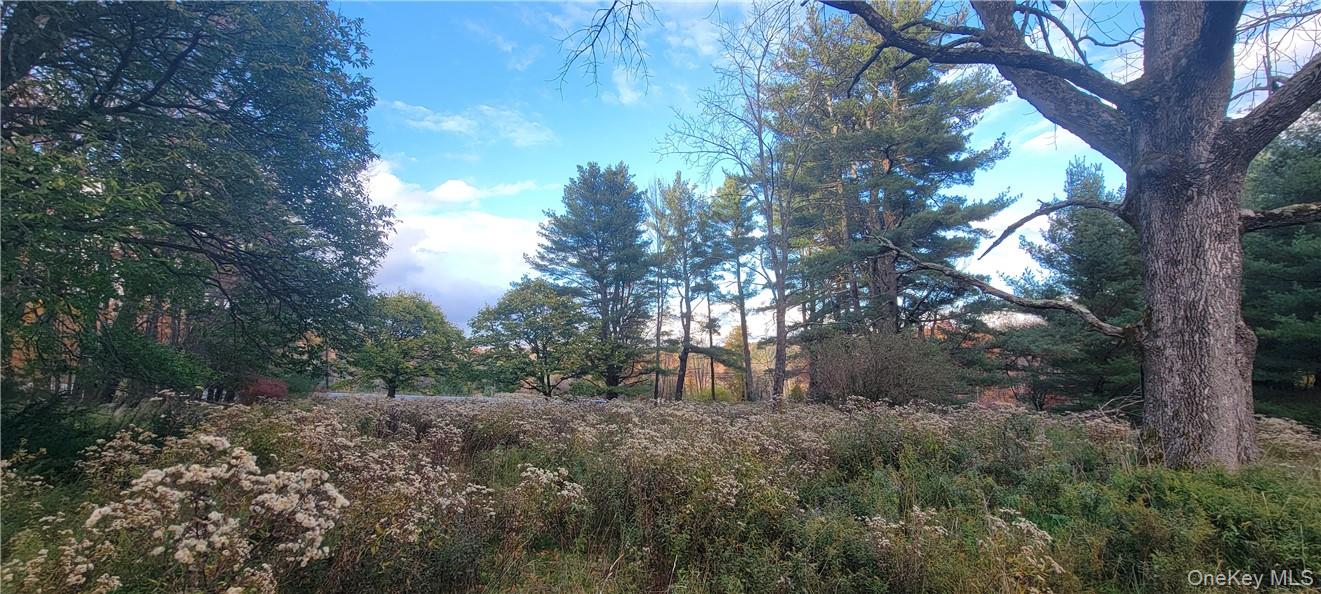 1195 Nys Route 17b Property Photo 12