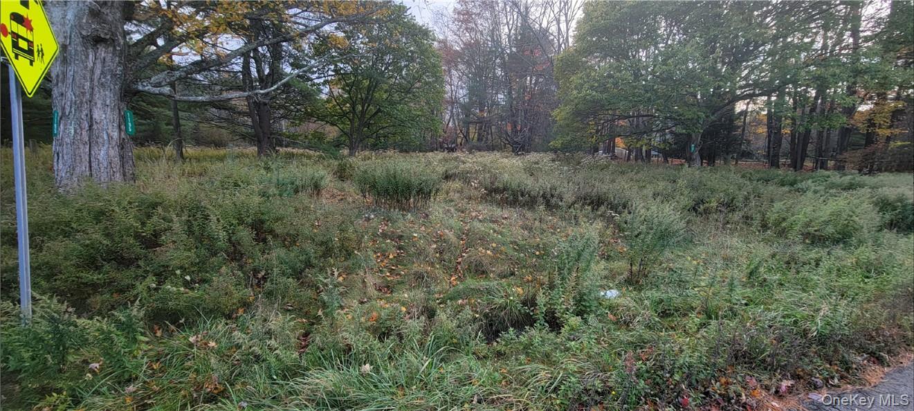 1195 Nys Route 17b Property Photo 13