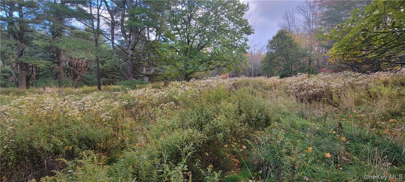 1195 Nys Route 17b Property Photo 14