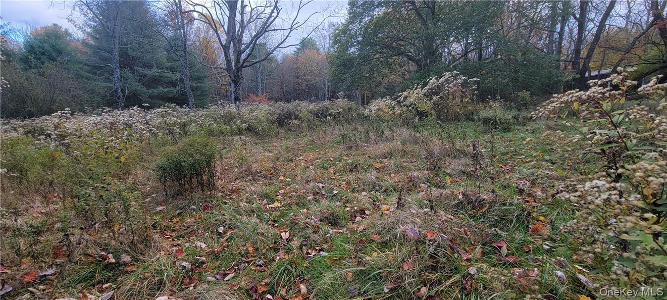 1195 Nys Route 17b Property Photo 15
