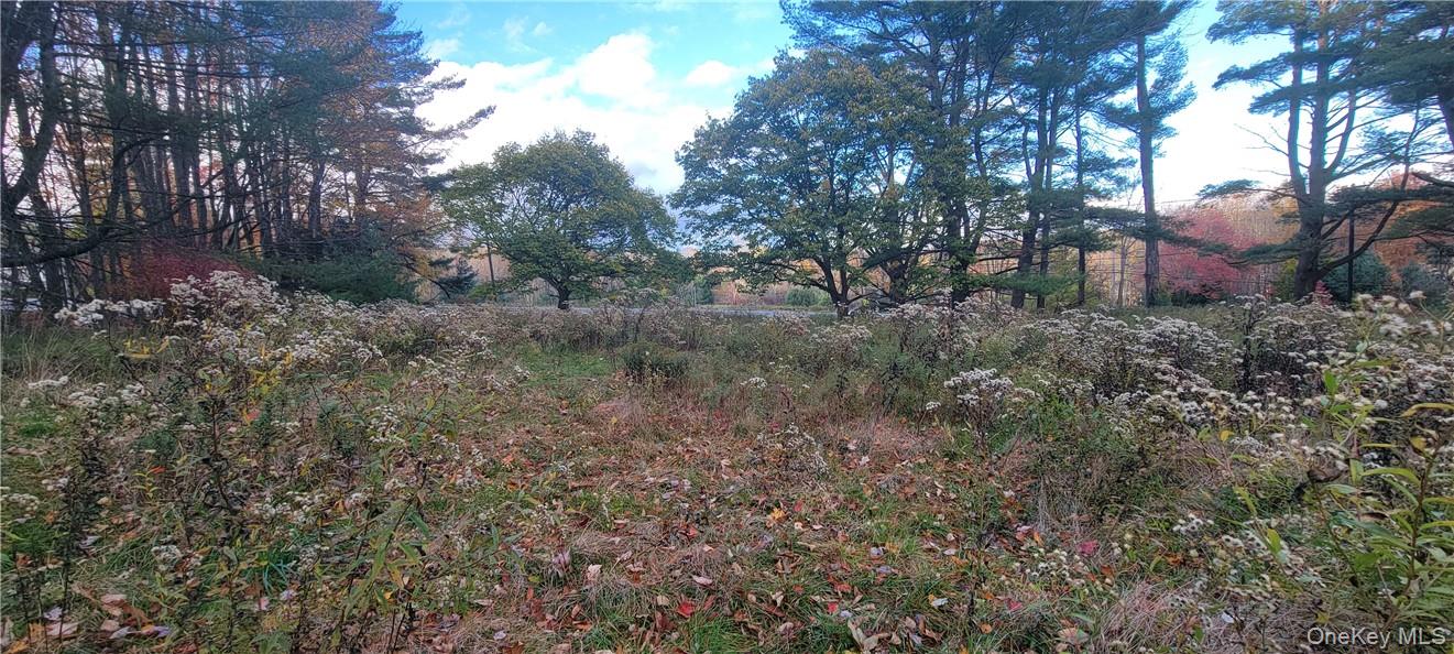 1195 Nys Route 17b Property Photo 16