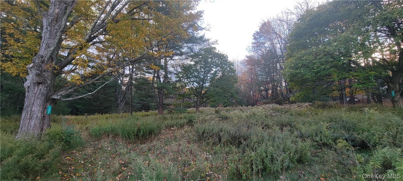 1195 Nys Route 17b Property Photo 17