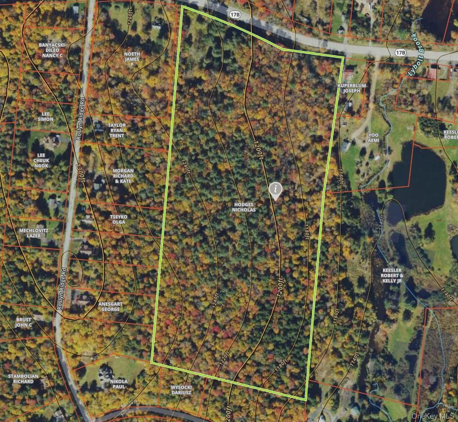 1195 Nys Route 17b Property Photo 22