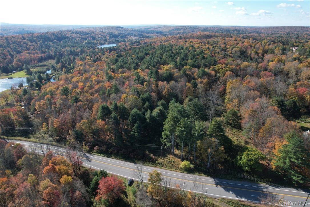 1195 Nys Route 17b Property Photo 23