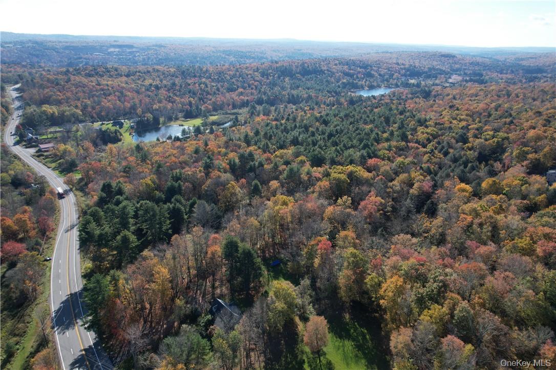 1195 Nys Route 17b Property Photo 25