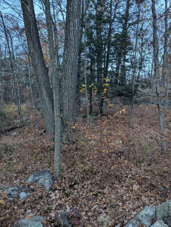 250 Hortontown Road Property Photo 5