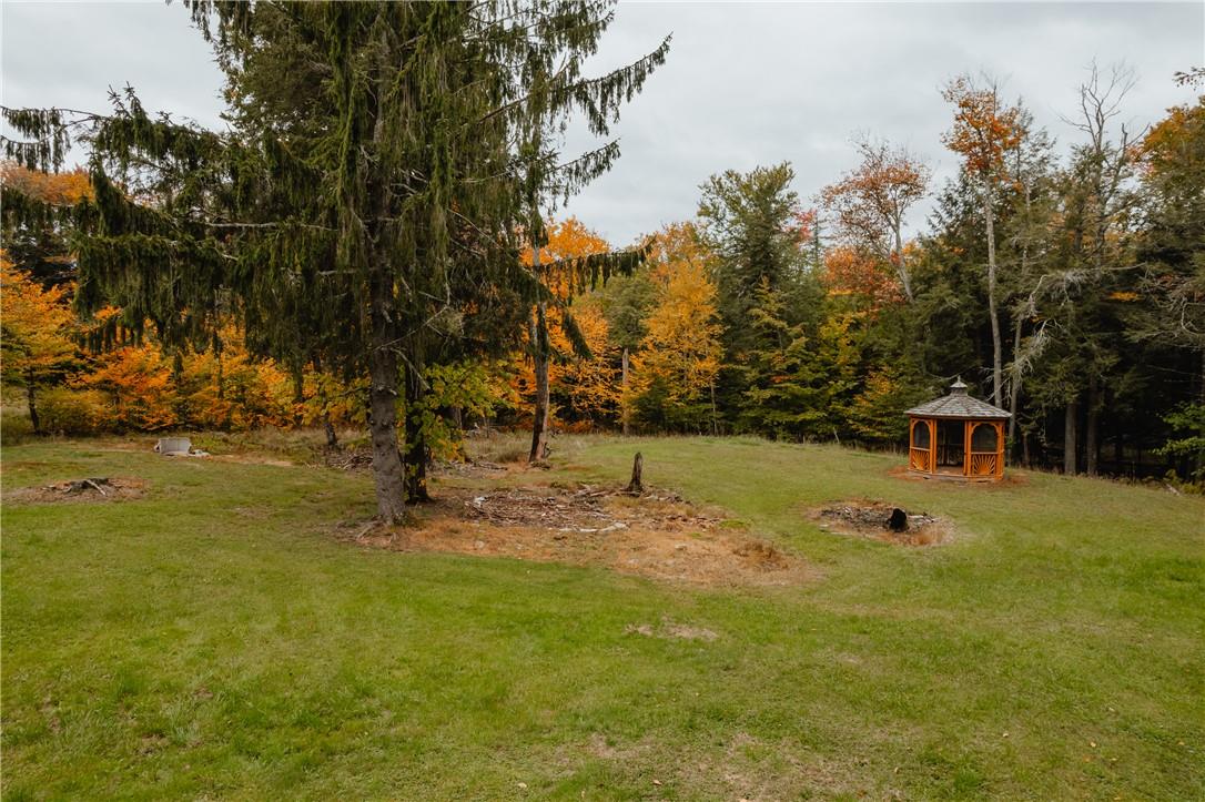 576 Red Hill Knolls Road Property Photo 6