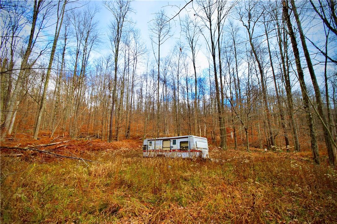 Petersen Road Property Photo
