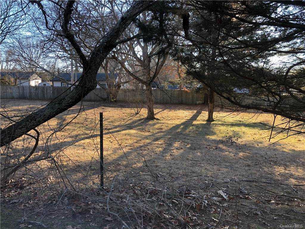 49 Shrubland Road Property Photo 9