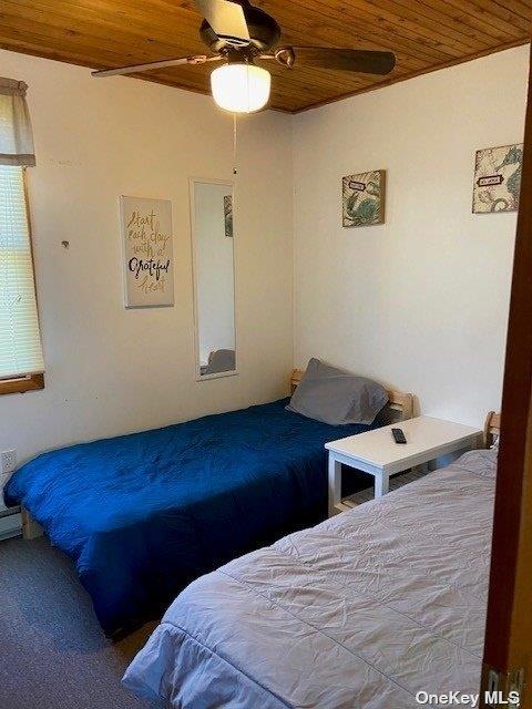 295 Cottage Walk Property Photo 8