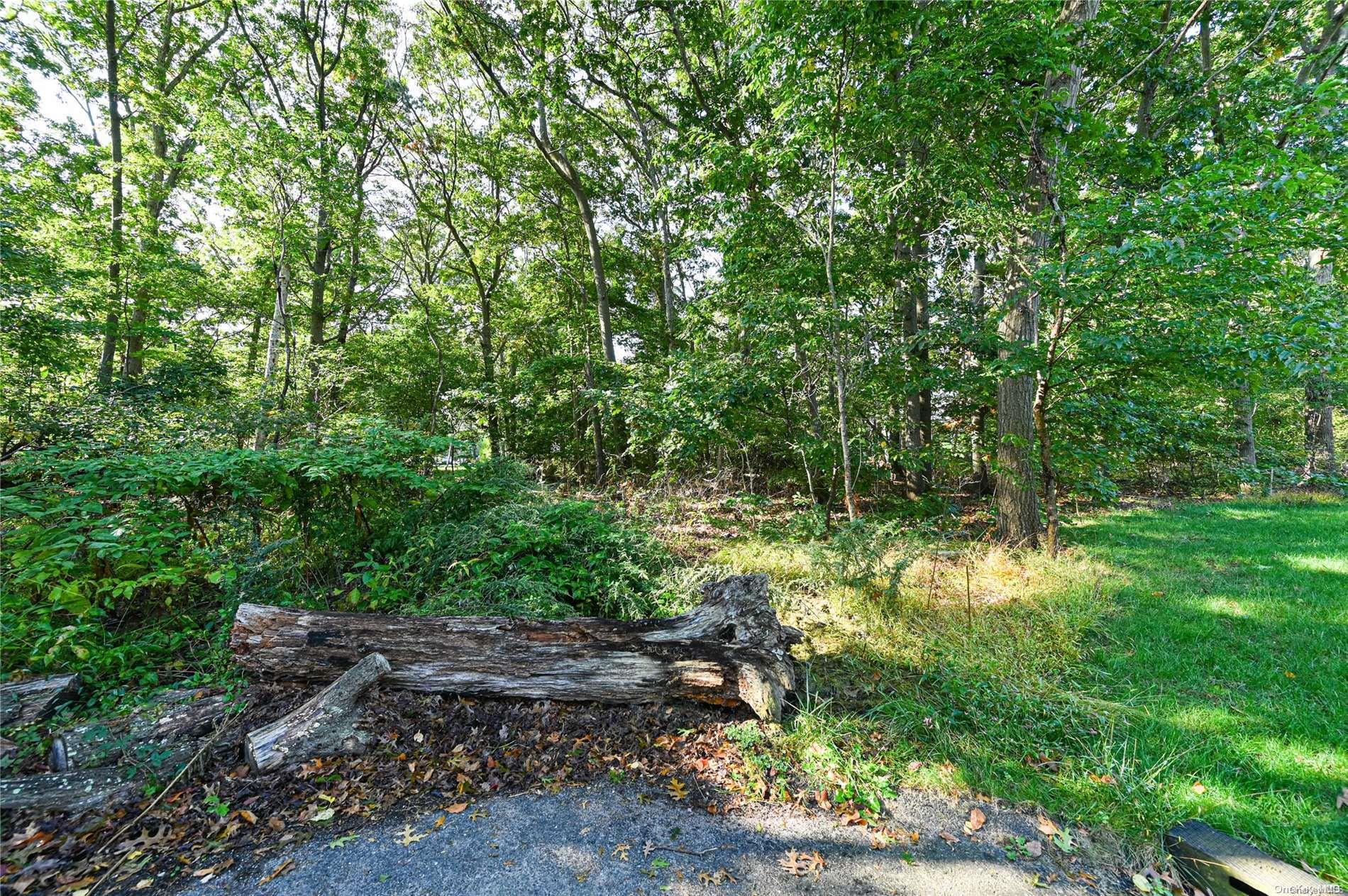 3rd Street Property Photo 6