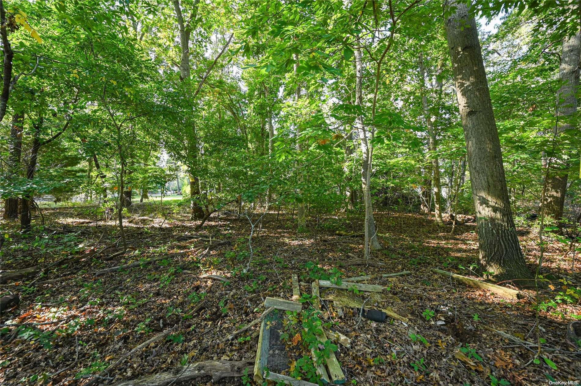 3rd Street Property Photo 8