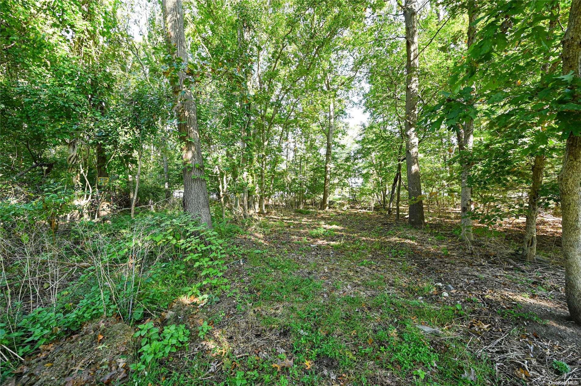 3rd Street Property Photo 9
