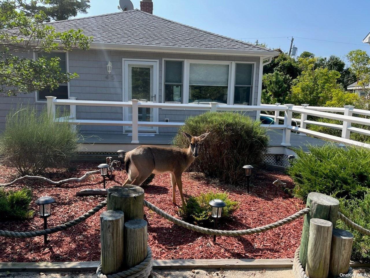 45 Beachwold Property Photo 1