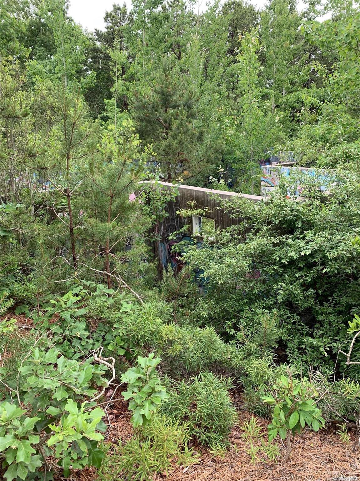 Woodland Road Property Photo 4