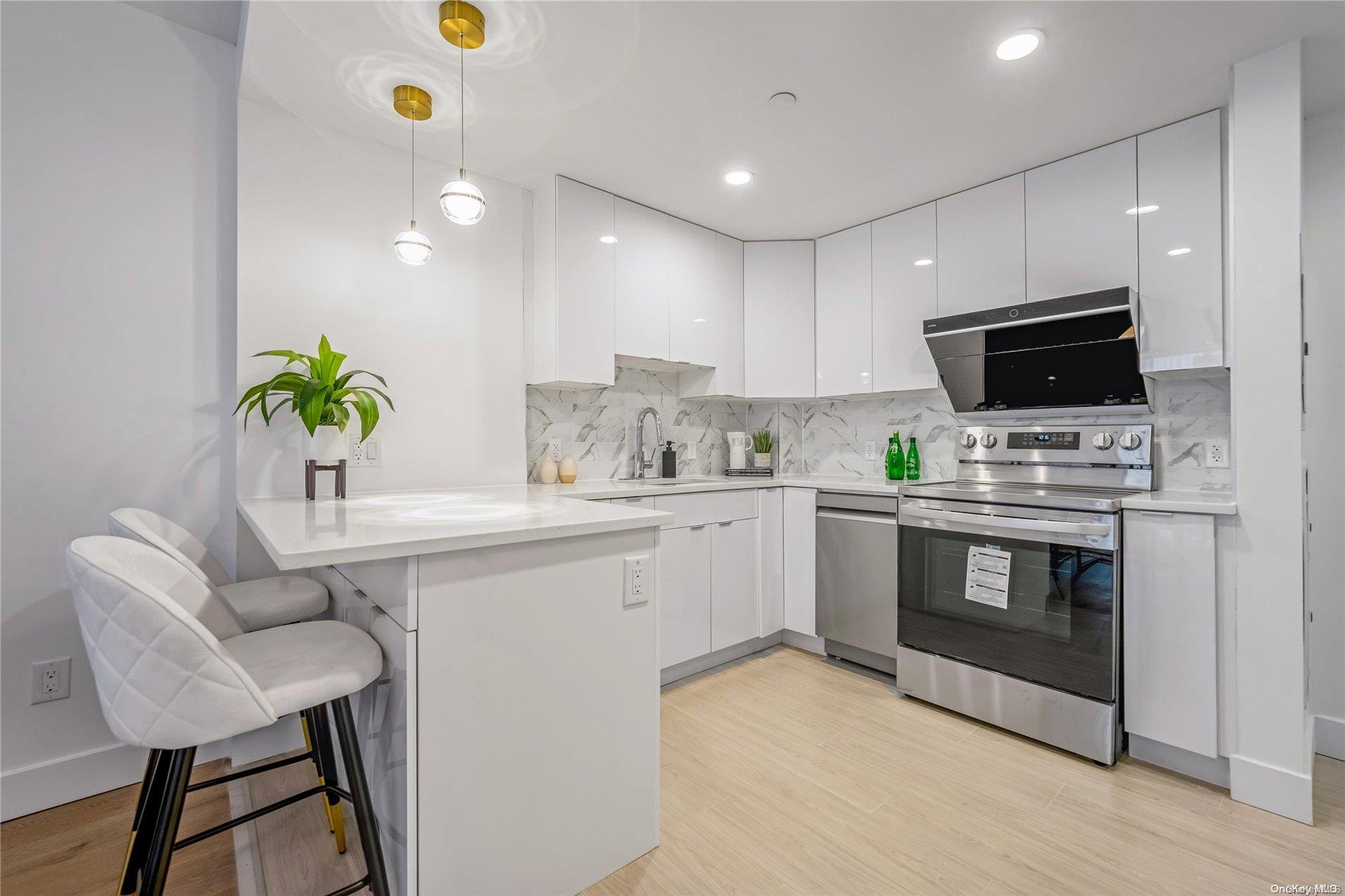 52-16 Roosevelt Avenue 2a Property Photo 6