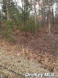 Middle Country Road Property Photo 3