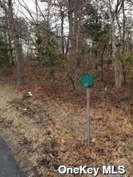 Middle Country Road Property Photo 5