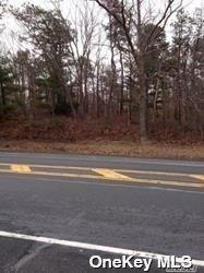 Middle Country Road Property Photo 6
