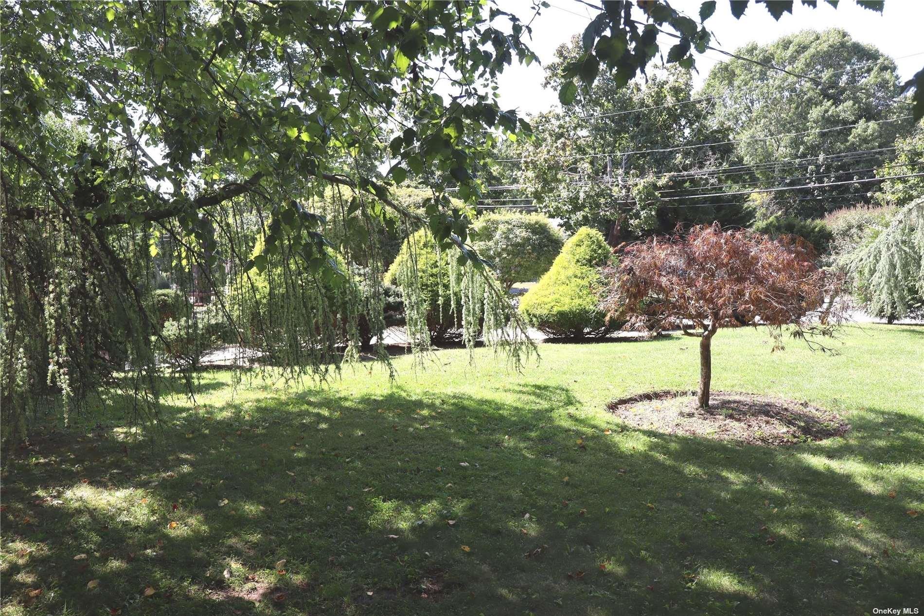 6 Nidzyn Avenue Property Photo 32