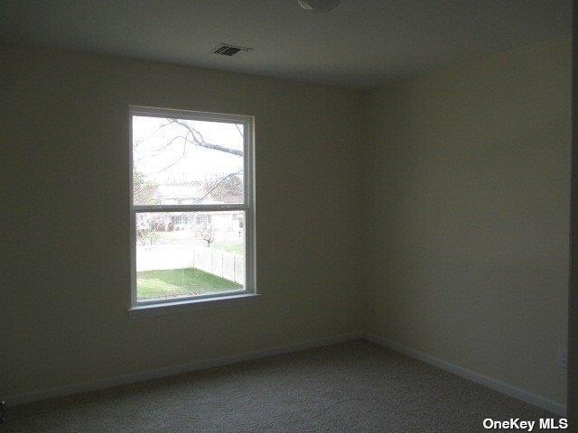 427 Macdonald Avenue Property Photo 15