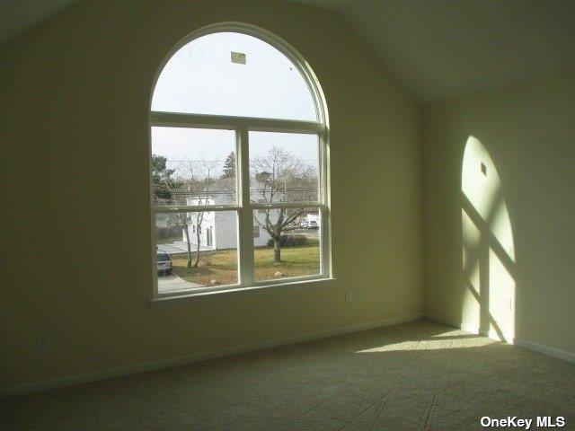 427 Macdonald Avenue Property Photo 18