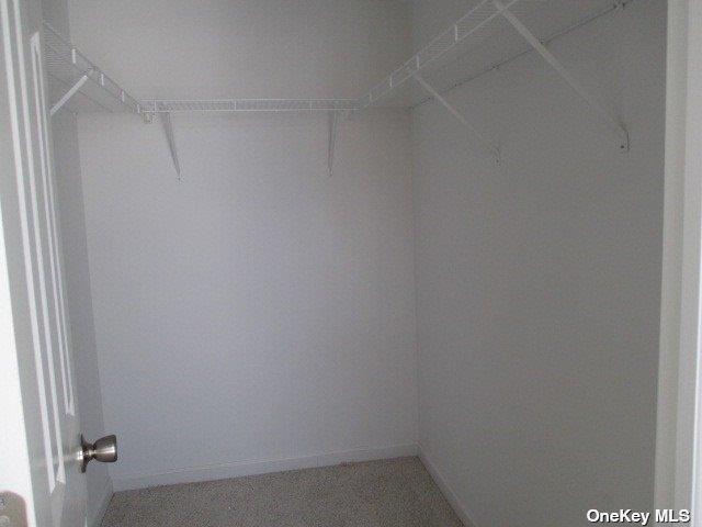 427 Macdonald Avenue Property Photo 20
