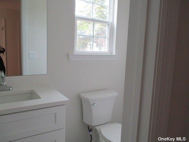 427 Macdonald Avenue Property Photo 26