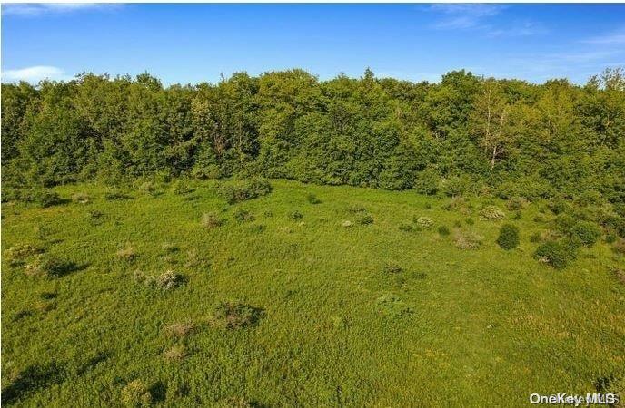 L8. 111 Churches Rd Ridges Property Photo 3
