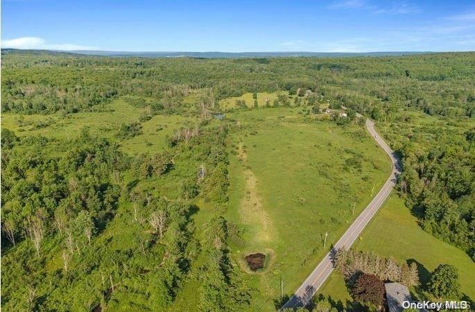 L8. 111 Churches Rd Ridges Property Photo 5