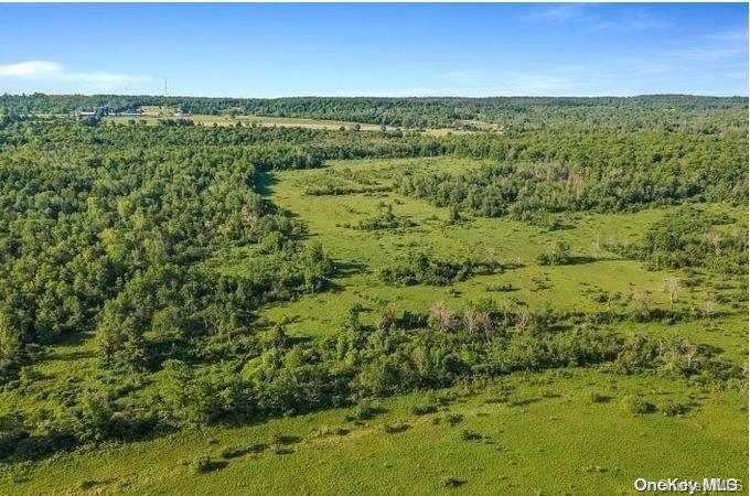 L8. 111 Churches Rd Ridges Property Photo 8
