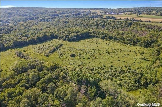 L8. 111 Churches Rd Ridges Property Photo 11