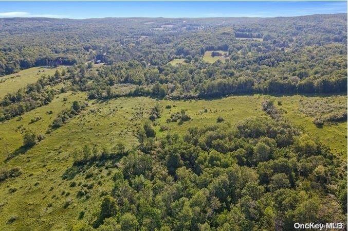 L8. 111 Churches Rd Ridges Property Photo 12