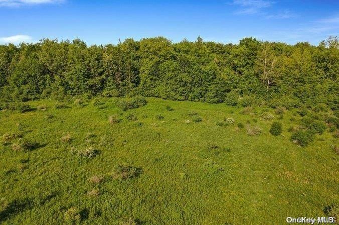 L8. 111 Churches Rd Ridges Property Photo 15