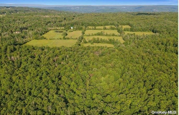 L8. 111 Churches Rd Ridges Property Photo 16