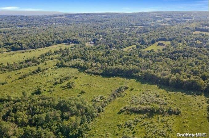 L8. 111 Churches Rd Ridges Property Photo 18