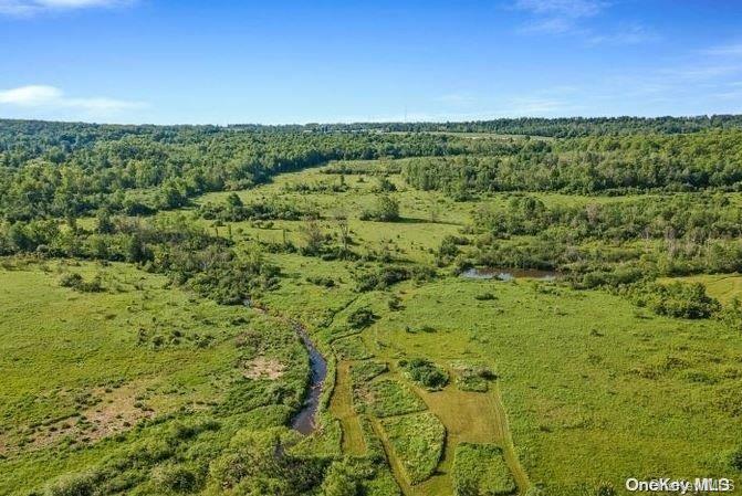 L8. 111 Churches Rd Ridges Property Photo 20