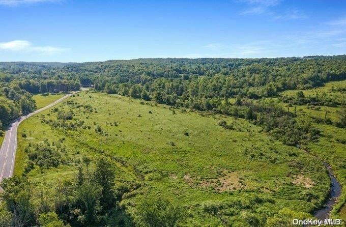 L8. 111 Churches Rd Ridges Property Photo 21