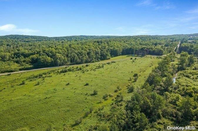 L8. 111 Churches Rd Ridges Property Photo 25