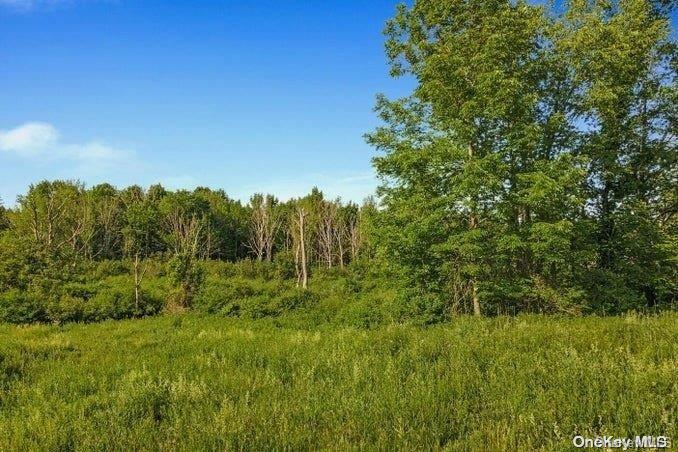 L8. 111 Churches Rd Ridges Property Photo 26