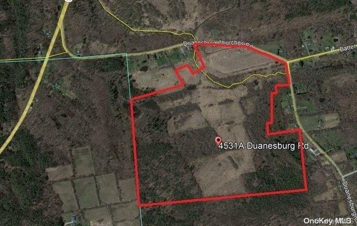 L8. 111 Churches Rd Ridges Property Photo 29