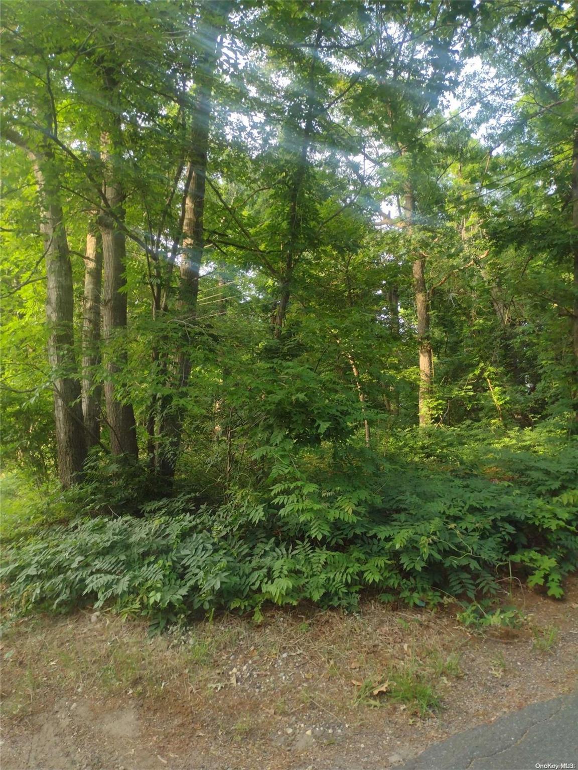 Cedar Lane Property Photo 2
