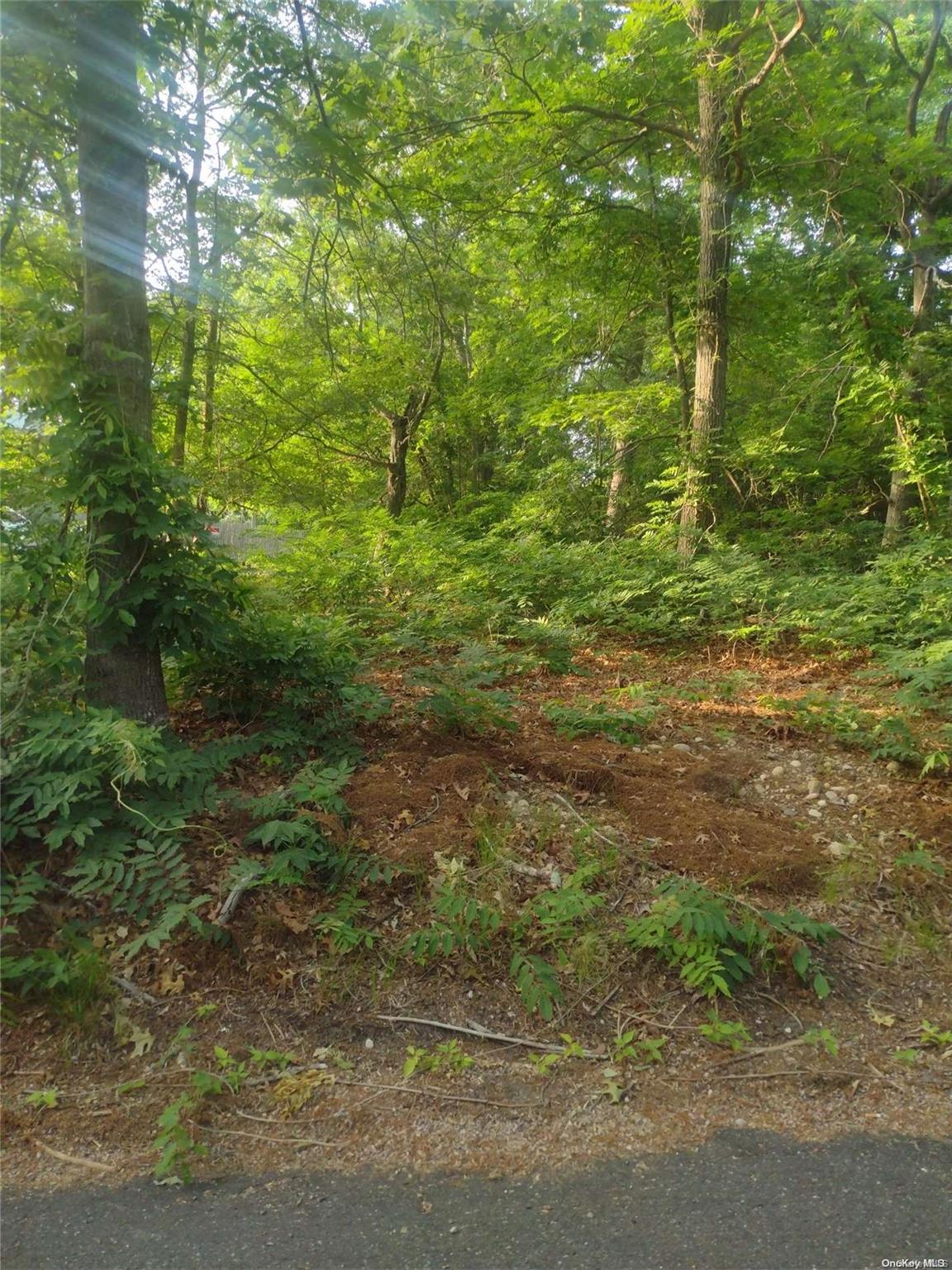 Cedar Lane Property Photo 3