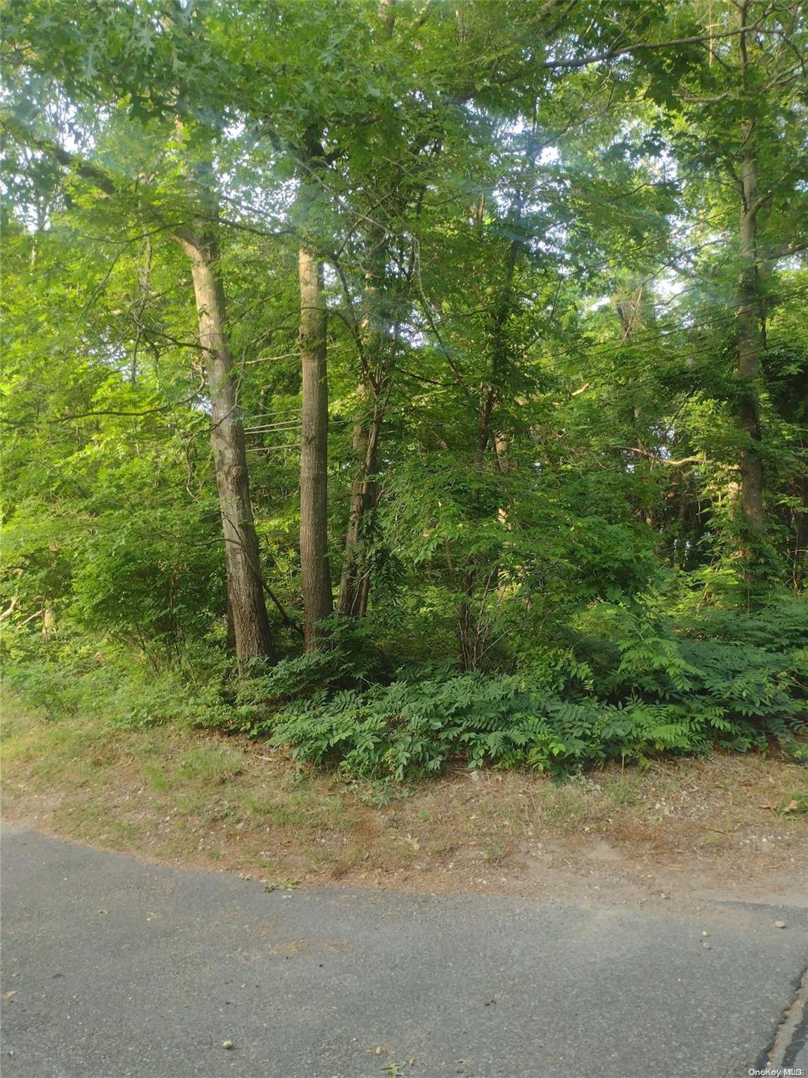 Cedar Lane Property Photo 4